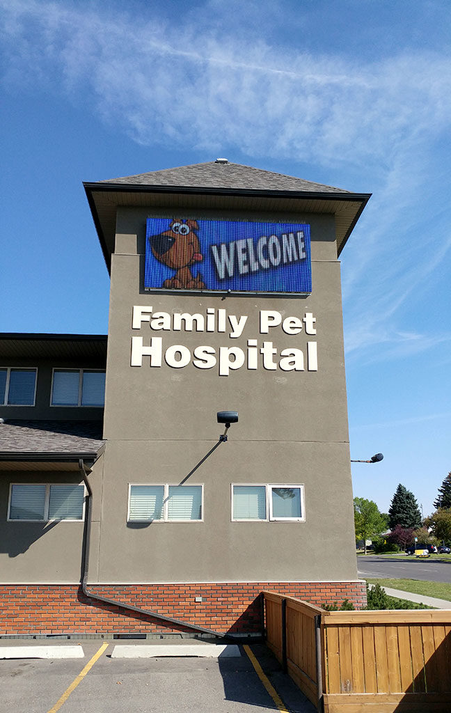 Pixelboom Media Family Pet Hospital Digital Sign